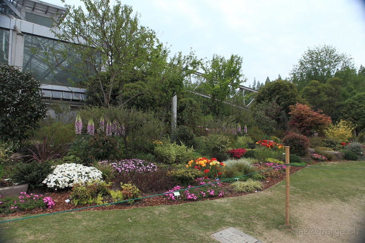 EOS 5D Mark II16_04_20135038.JPG